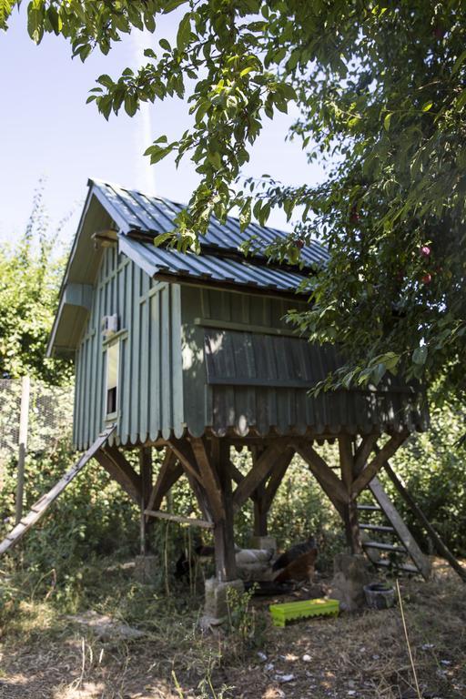 Le Clos Des Abeilles Ruch Buitenkant foto